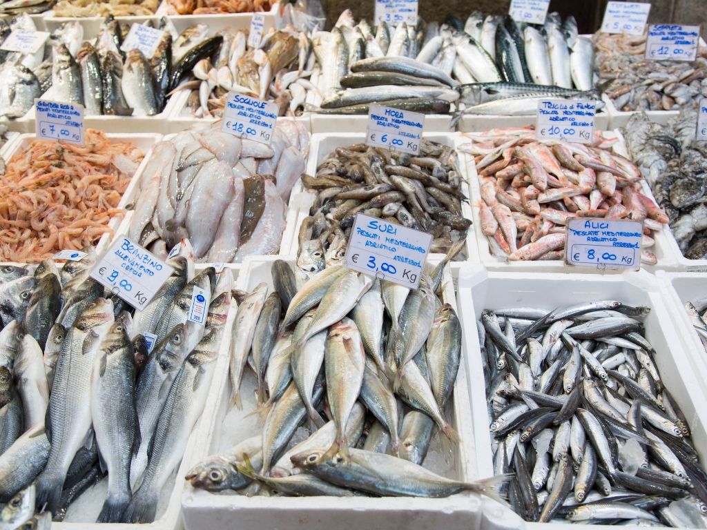 Imagen de portaprecios para pescadería